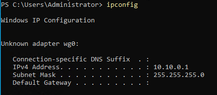 ipconfig output on Windows showing WireGuard adapter with IP address 10.10.0.1